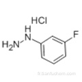 Chlorhydrate de 3-fluorophénylhydrazine CAS 2924-16-5